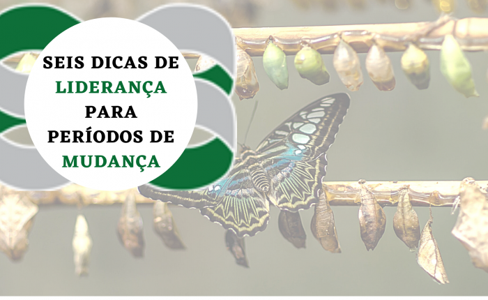 Dicas de liderança